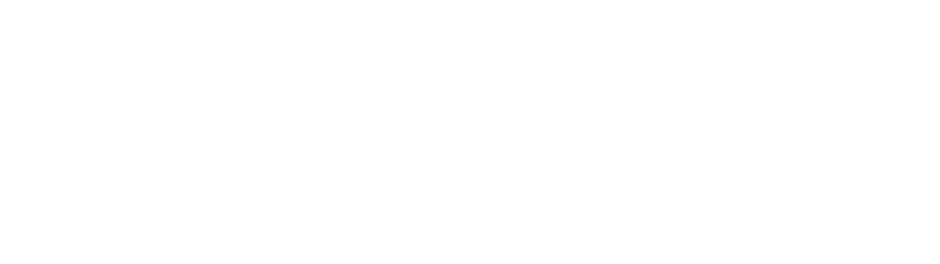 pp电子模拟器官网电子logo